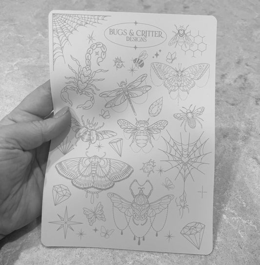 BUGS/CRITTERS & CONSTELLATIONS PRACTICE SKIN