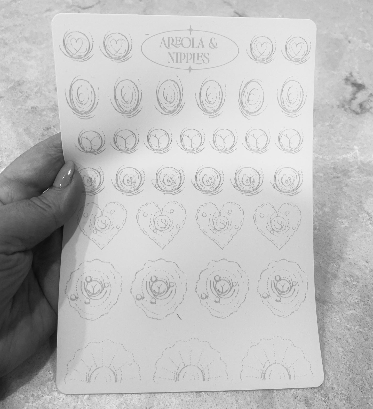 PARAMEDICAL 3D NIPPLE & AREOLA PRACTICE SKIN